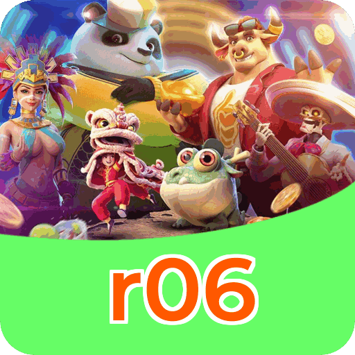 Interface r06